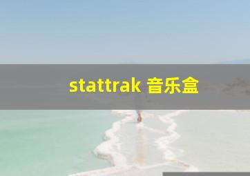 stattrak 音乐盒